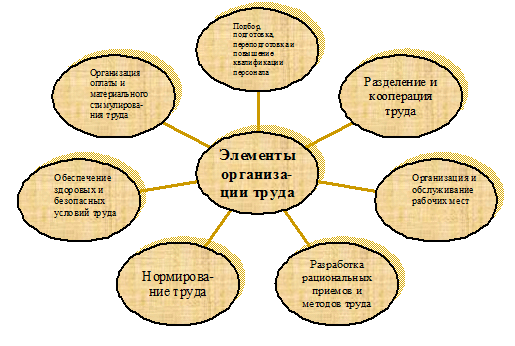 Организация труда на предприятии: содержание, элементы, принципы